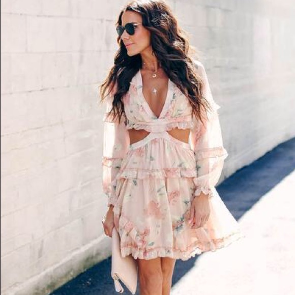 Vici Dresses & Skirts - Vici Rose Water Floral Chiffon Ruffle Dress size S